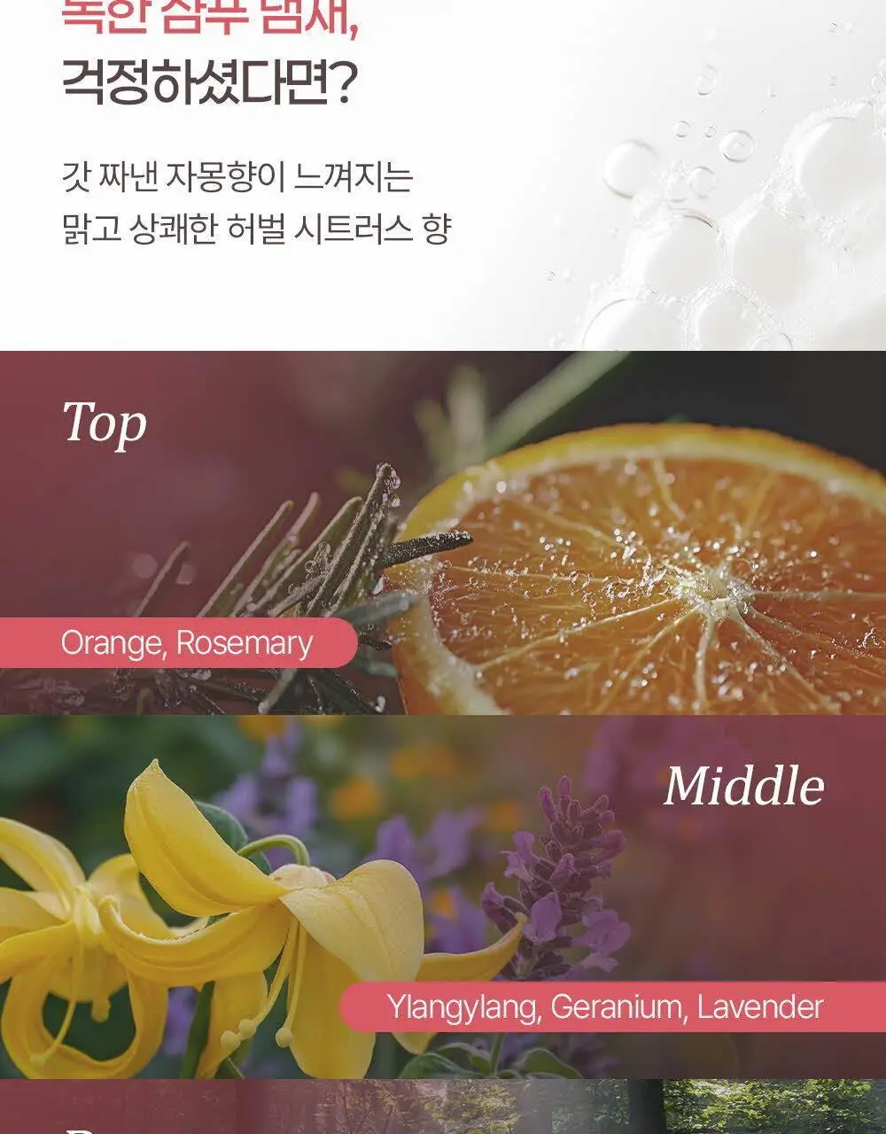 [두피 모공 딥스케일링 97%] 닥터그루트 클리니컬 릴리프 10초 워터 스케일러 250ml 상세페이지 20